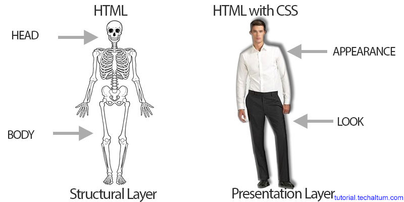 html-css.jpg