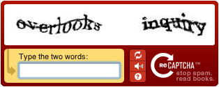 recaptcha-example.png