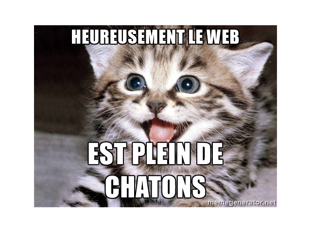 chatons.jpg