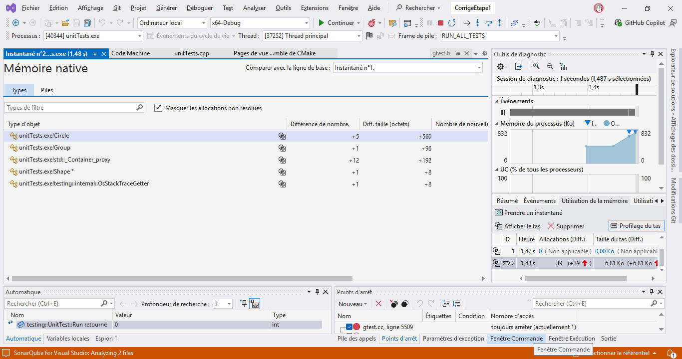 Visual Studio affichant la liste des fuites mémoire détectées