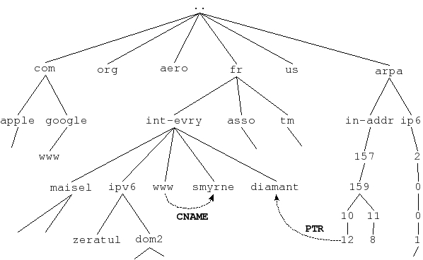 Arbre DNS